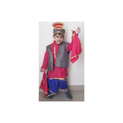 Bhangra Kids Costume Wear