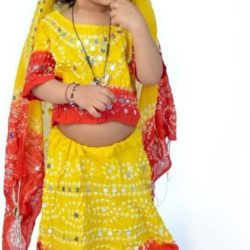 Girls Lehenga Choli Ethnic Wear