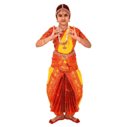 BharatanatyamWorld Fancy Dress Kids Costume Wear