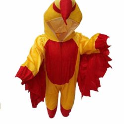 Fancy Dress Macow Bird Dress Kids Costume Wear