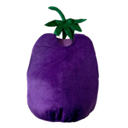 Fancy Dress BRINJAL VEGETABLE Kids Costume Wear