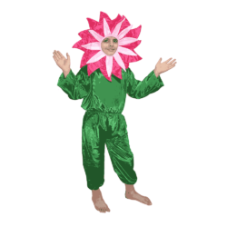 Fancy Dresses Mazanta Flower Costume,Nature Costume for Kids