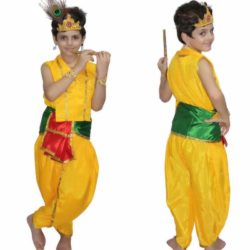 Fancy Dresses Bal Krishna Kids Costume Wear