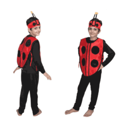 Fancy Dresses Lady Bird with jumpsuit Kids Costume Wear