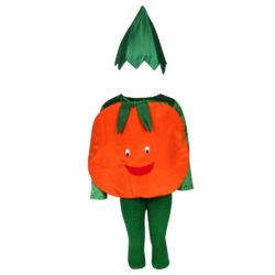 Fancy Dresses Tomato Vegetable Kids Costume Wear