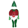 Fancy Dresses Turnip Vegetable Kids Costume Wear